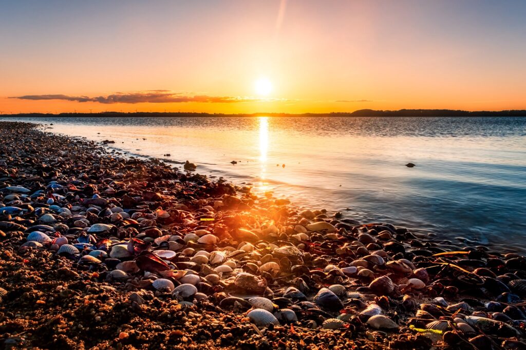 Muslingskaller på Lundø